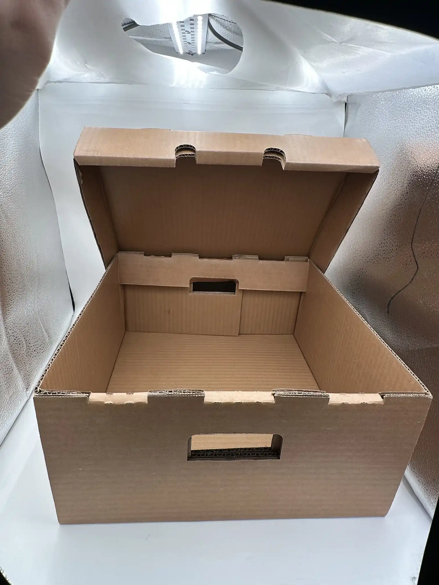 बड़ा मोमयुक्त नालीदार बक्सा